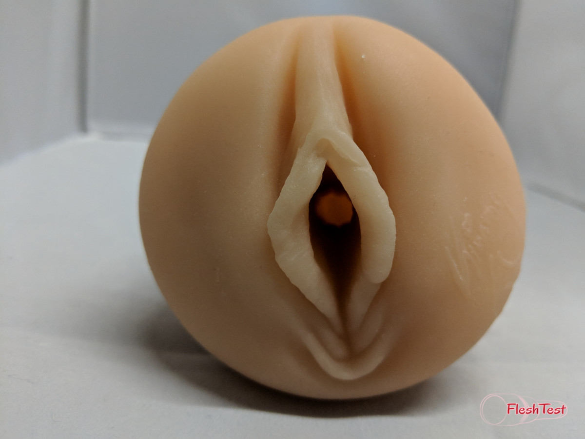 Rebel Foto da Galeria 4