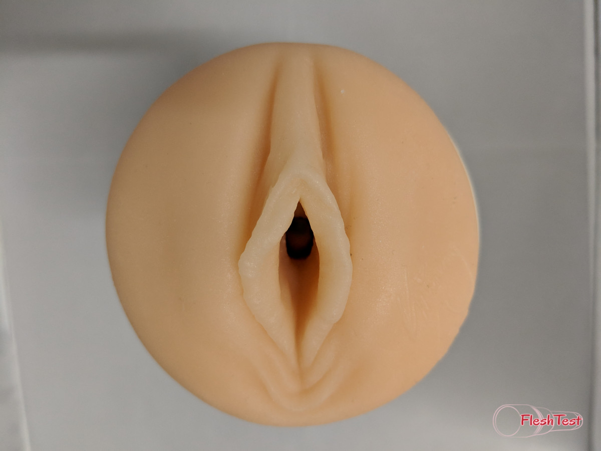 Rebel Foto da Galeria 7