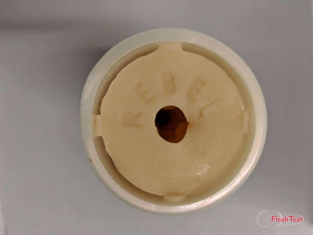 Rebel Foto da Galeria 8