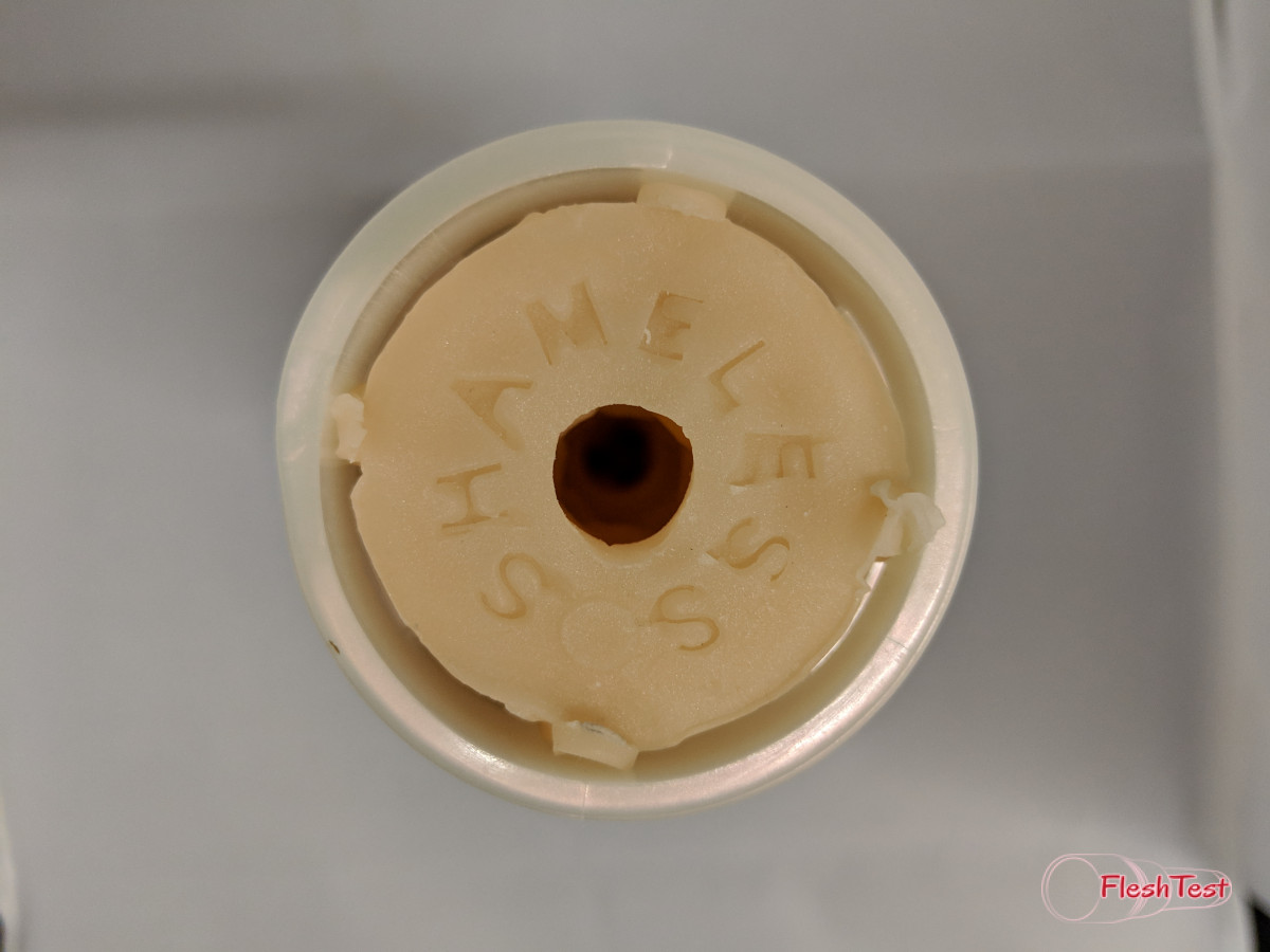 Shameless Gallerie Bild 8