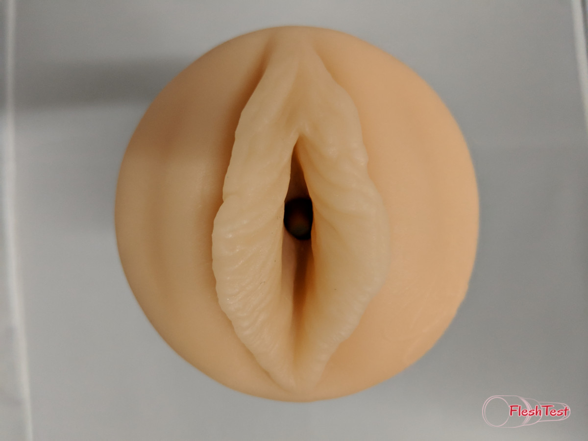 Tasty Galería de fotos 7